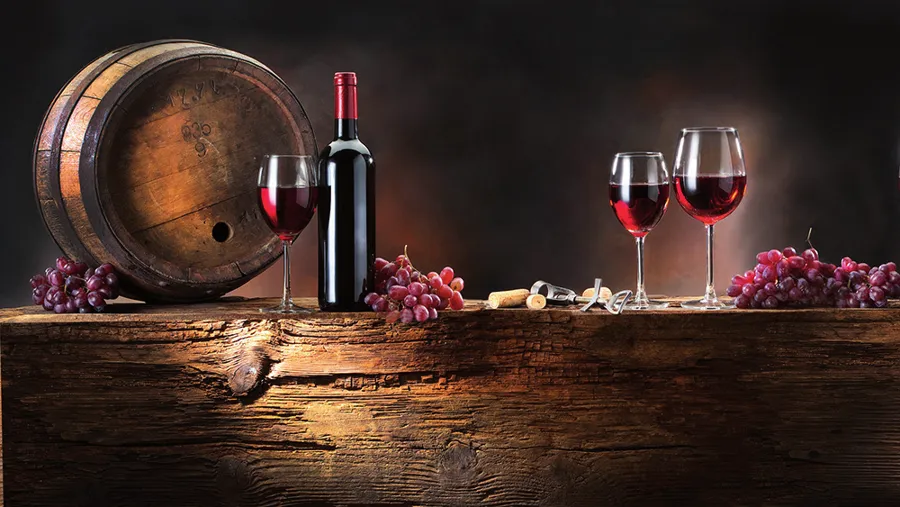Illustration — Vins — sélection du patron